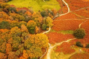 The Environment Partnership - Acorn to Oak - The GIS Story