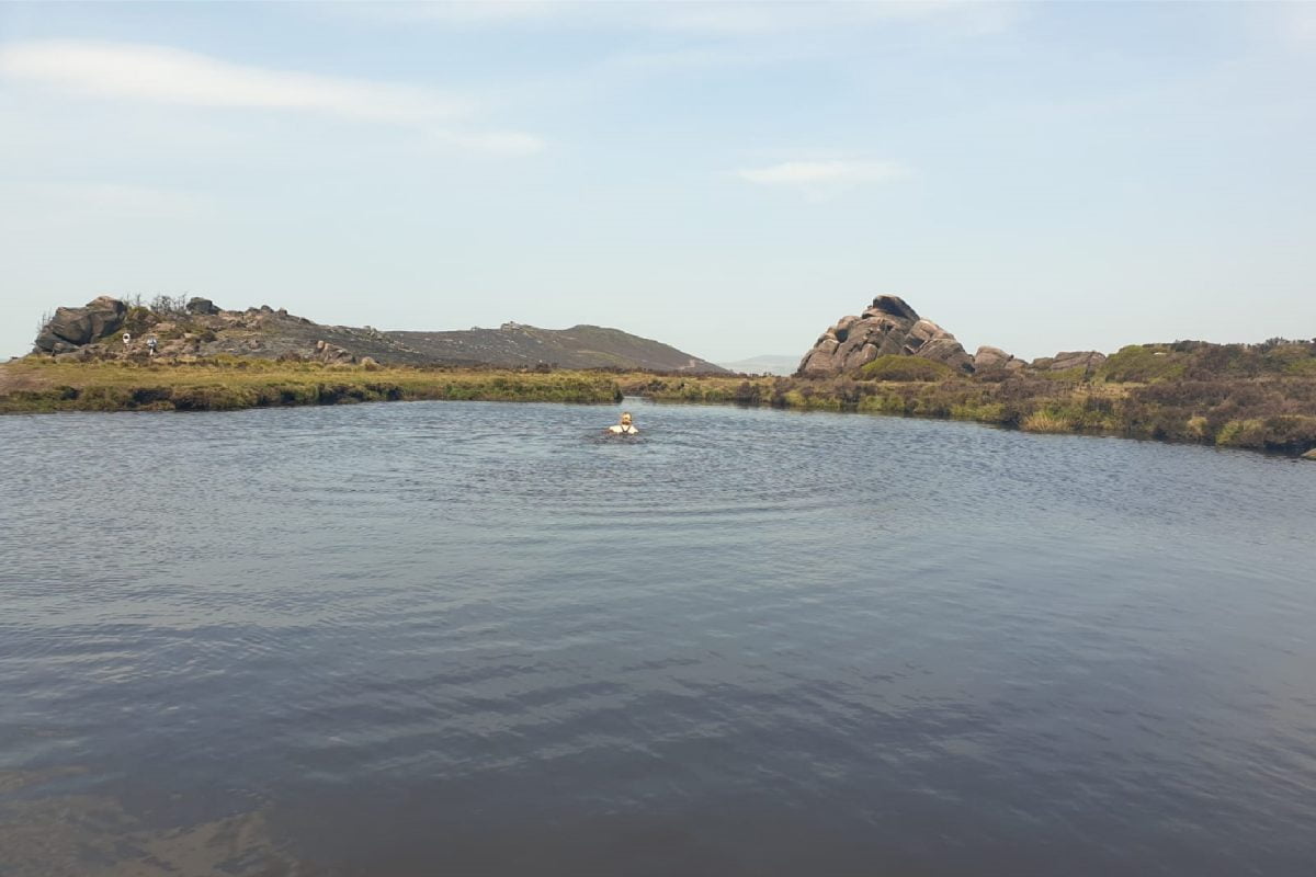 Taking a dip in Doxey Pool at the Roaches, Peak District … if you can spot me!