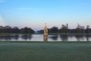 Bushy Park: one of the eight royal parks the charity looks after.