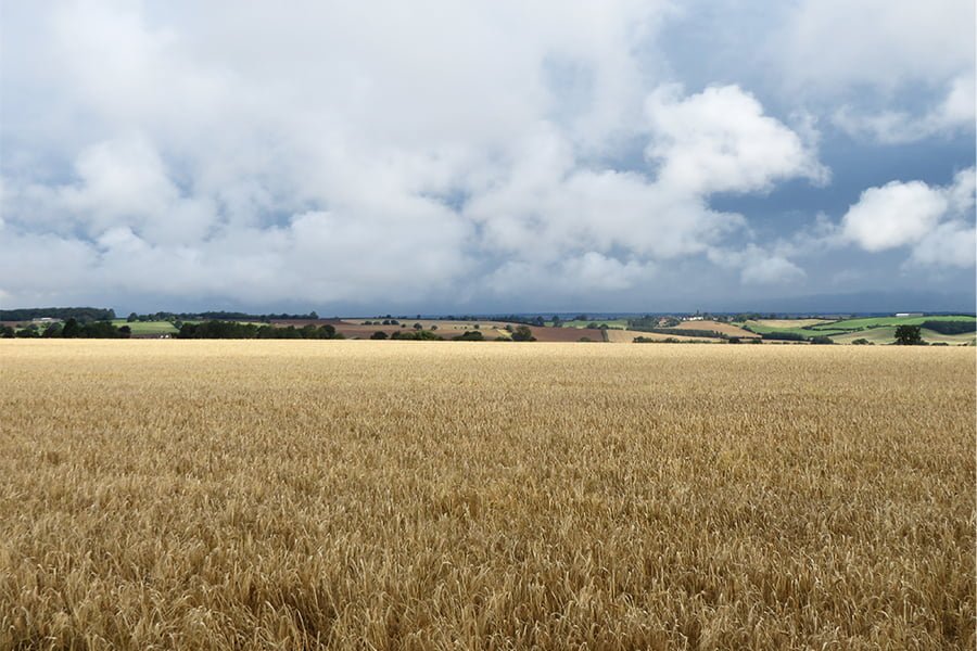 Distinctive West Northamptonshire Landscapes