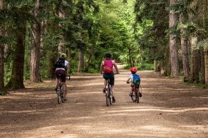 Greenspaces Out of Bounds - Black Park