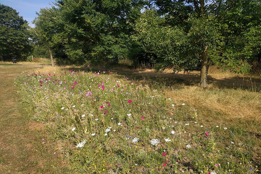 Greenspaces Out of Bounds - Green Space