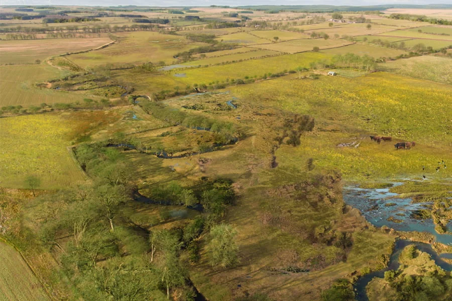 Hart Burn and it's tributaries on the Wallington Estate in Northumberland