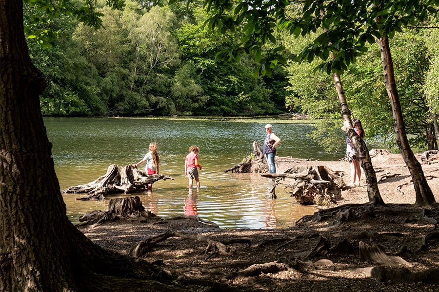 TEP and Their VIPs - Black Park Lake