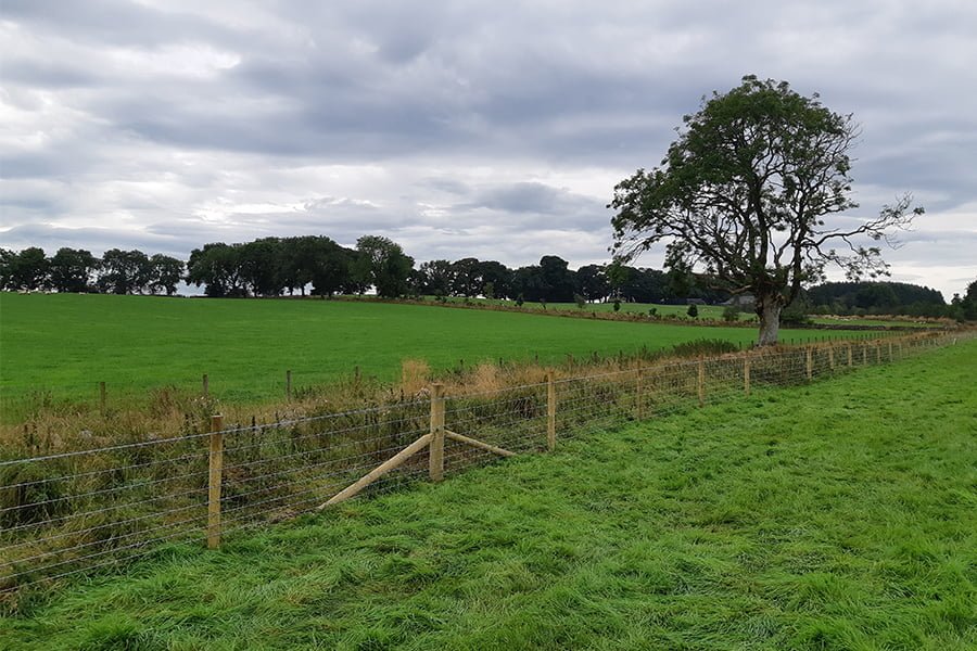 Fencing works completed ahead of upcoming hedge planting works
