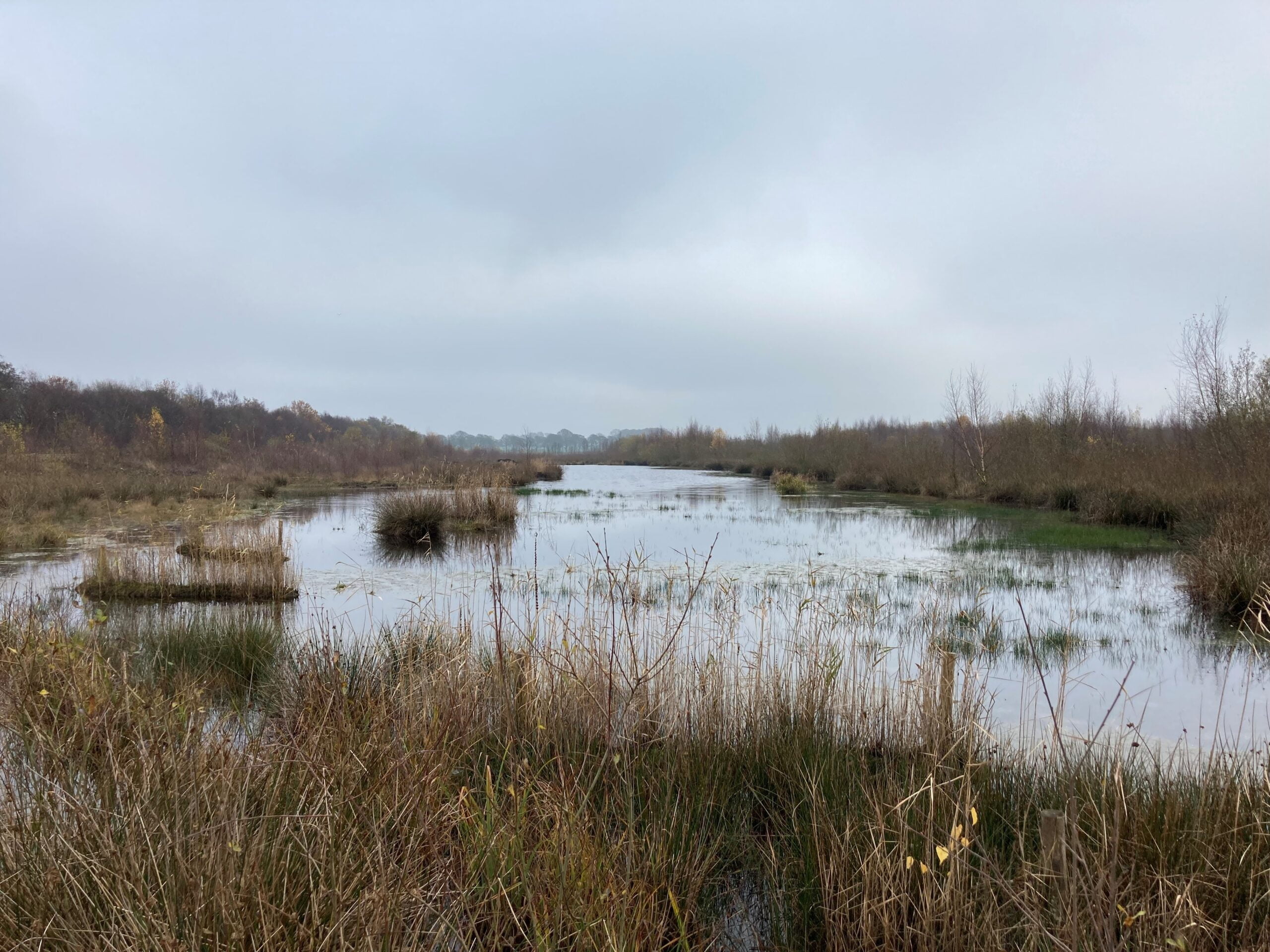 Peatland restoration