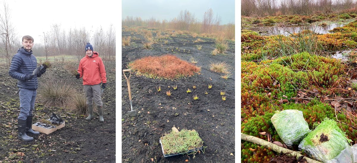 Peatland restoration