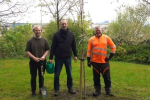 Tree planting