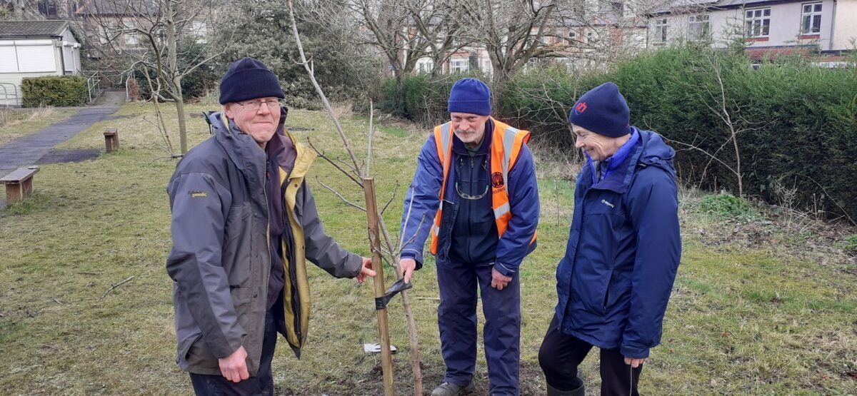 Tree Planting