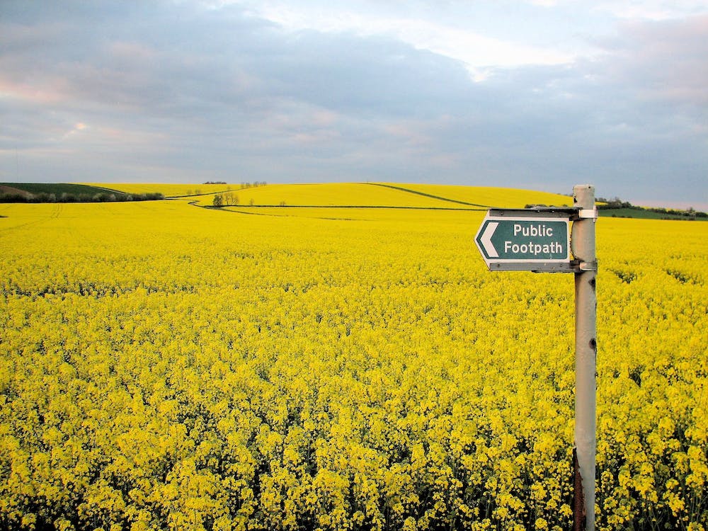 Historic Hedgerows, Heritage