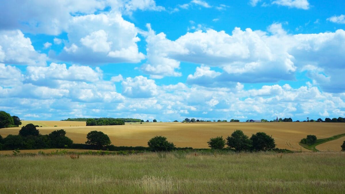 Historic Hedgerows, Heritage