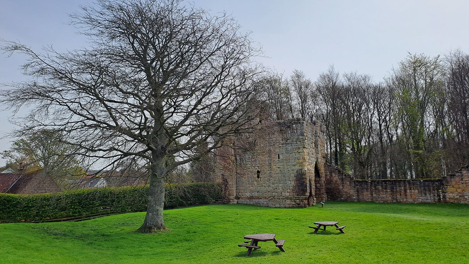 English Heritage Arboriculture