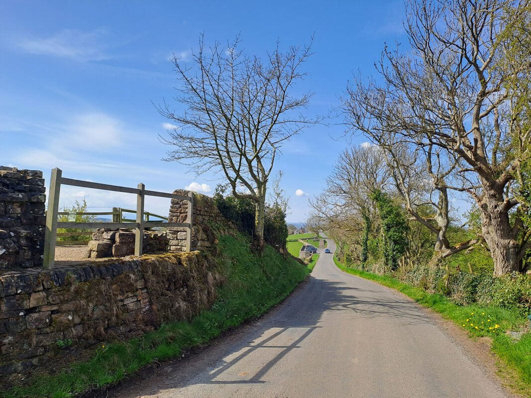 English Heritage Arboriculture