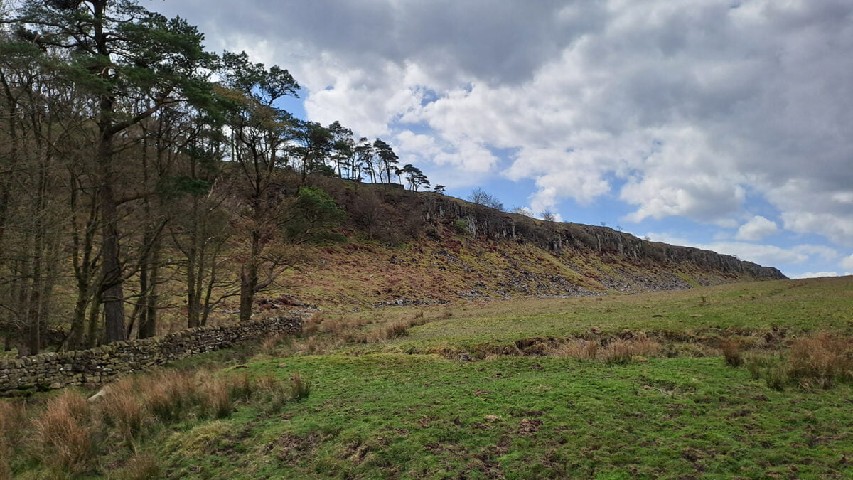 English Heritage Arboriculture