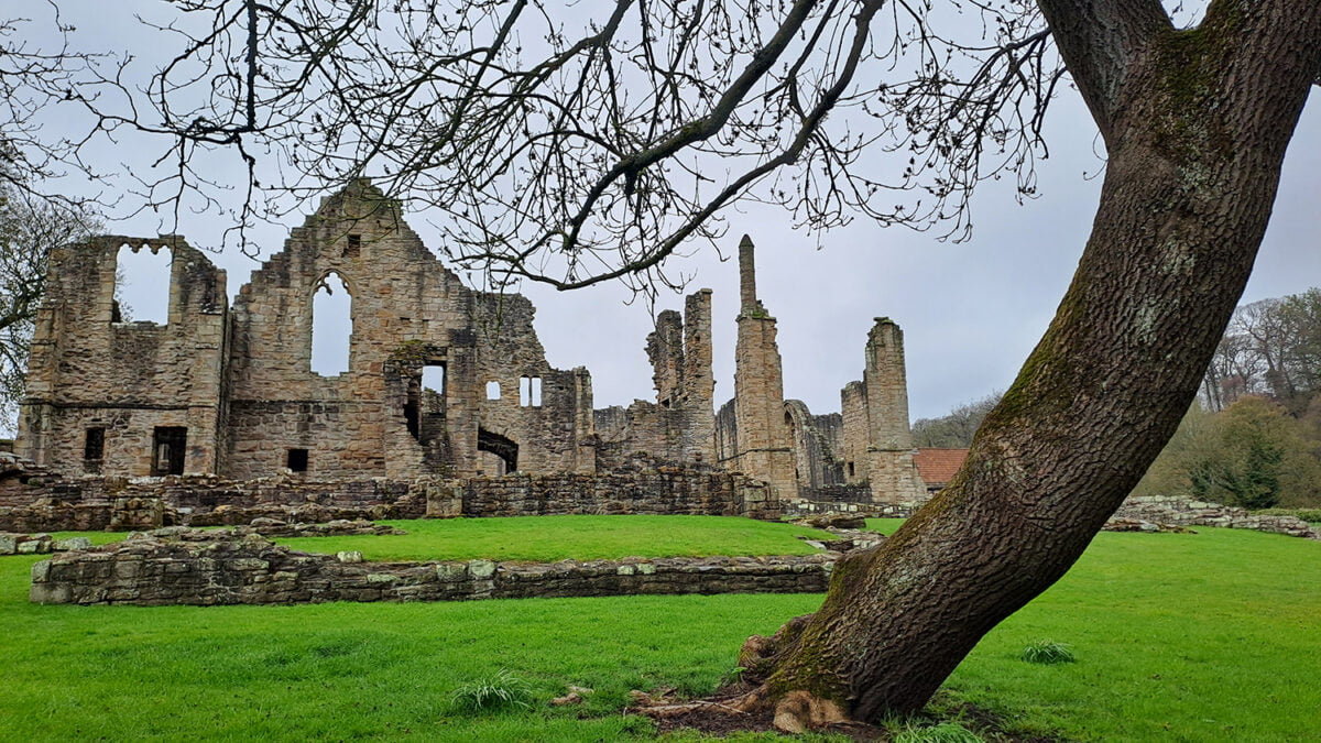 English Heritage Arboriculture