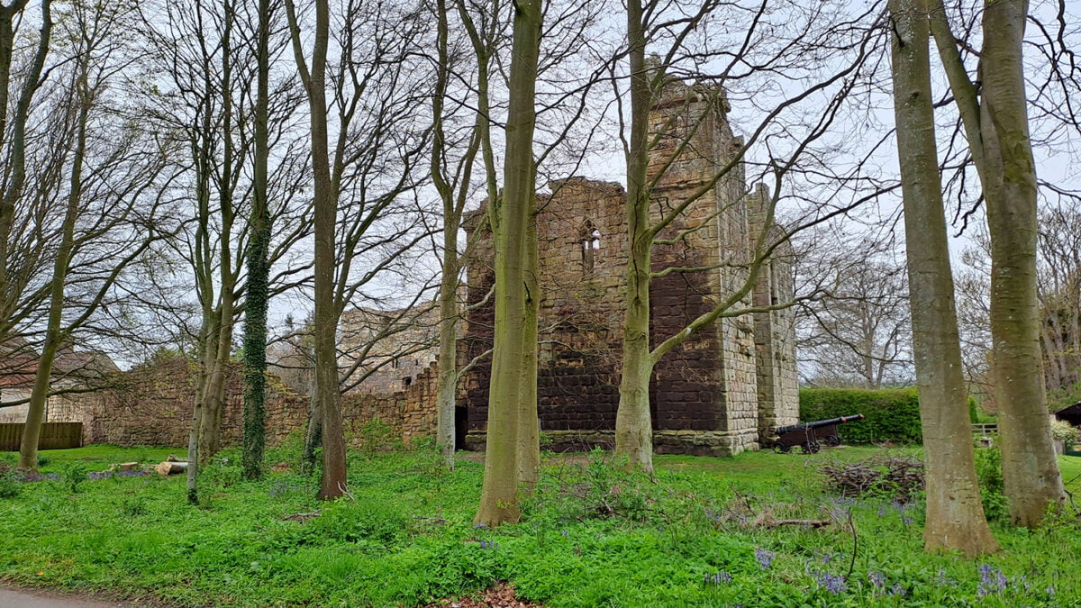 English Heritage Arboriculture