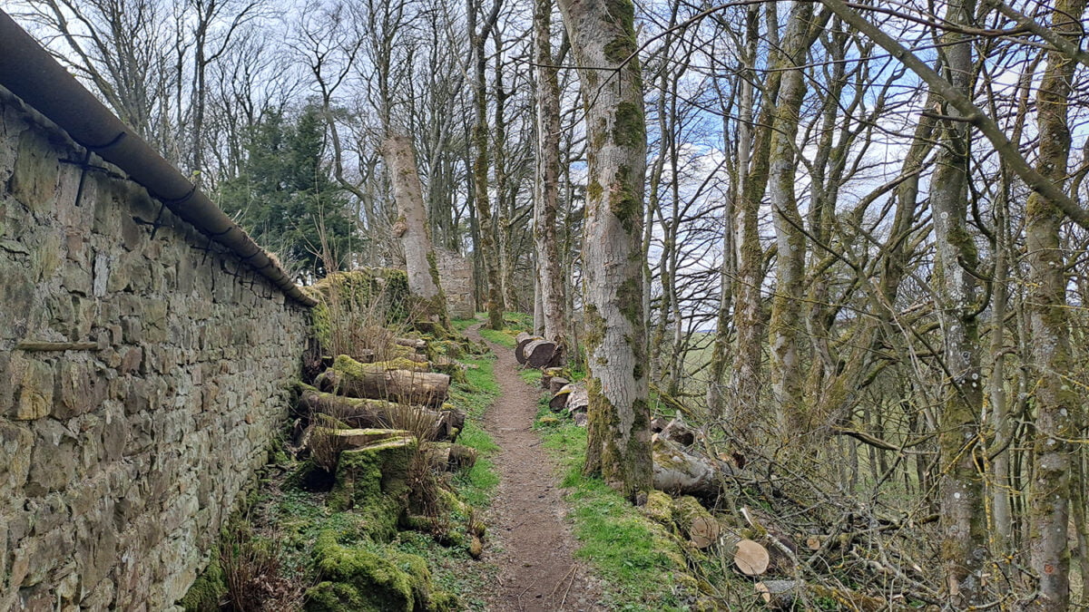 English Heritage Arboriculture