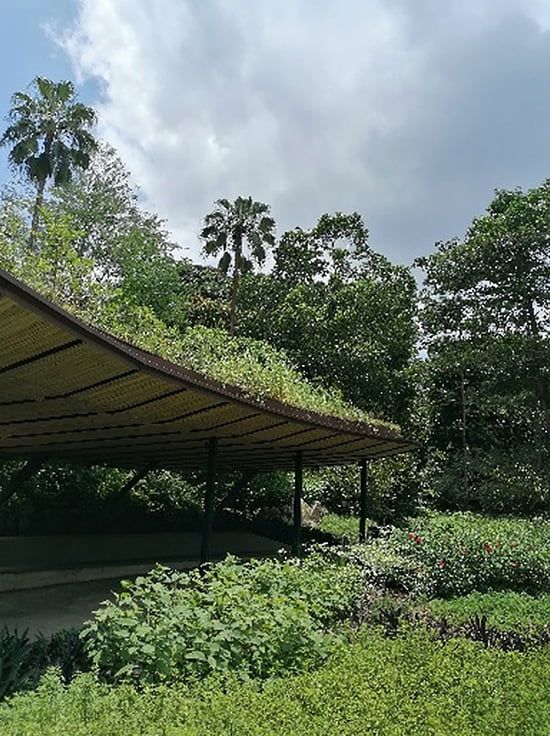 Green Roofs