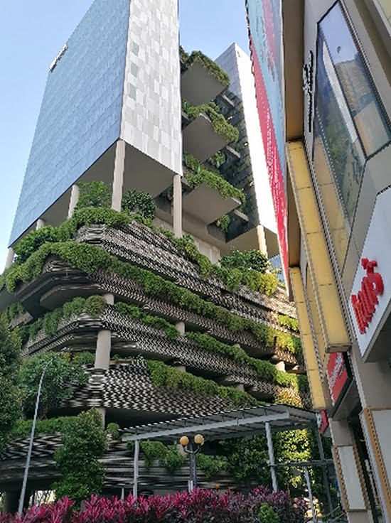 Green Roofs