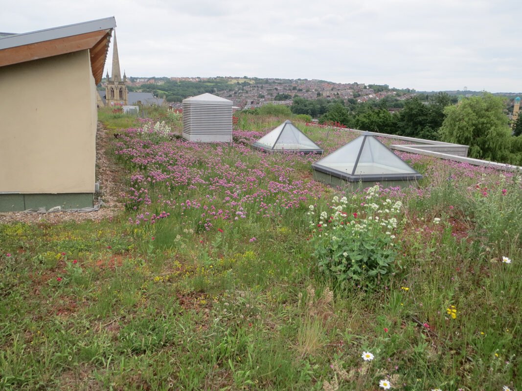 Green Roofs