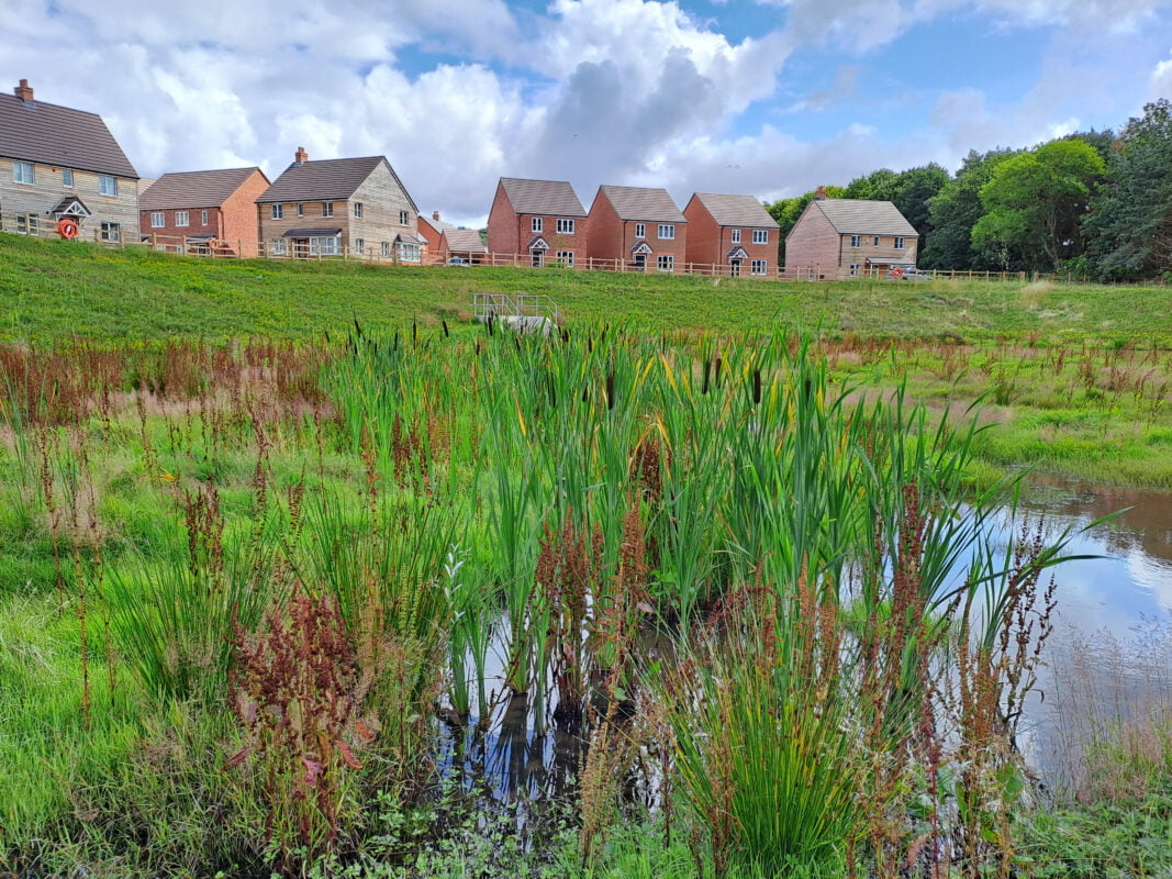 Building With Nature Awards