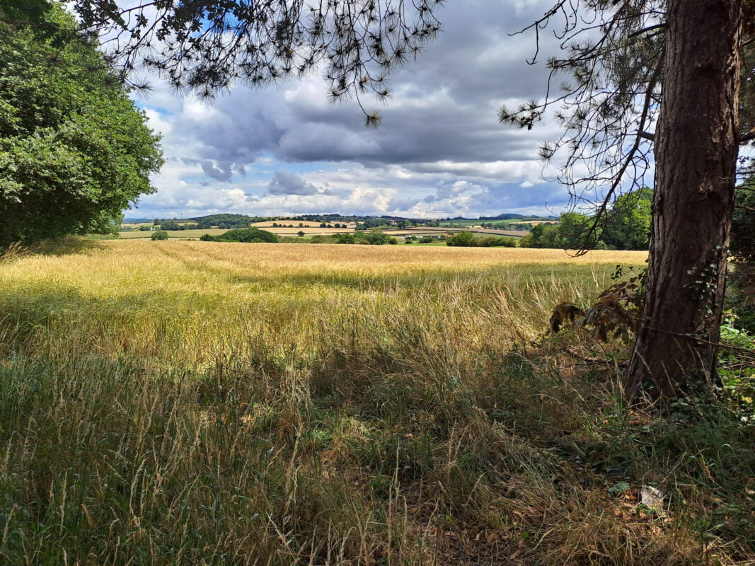 Building With Nature Awards