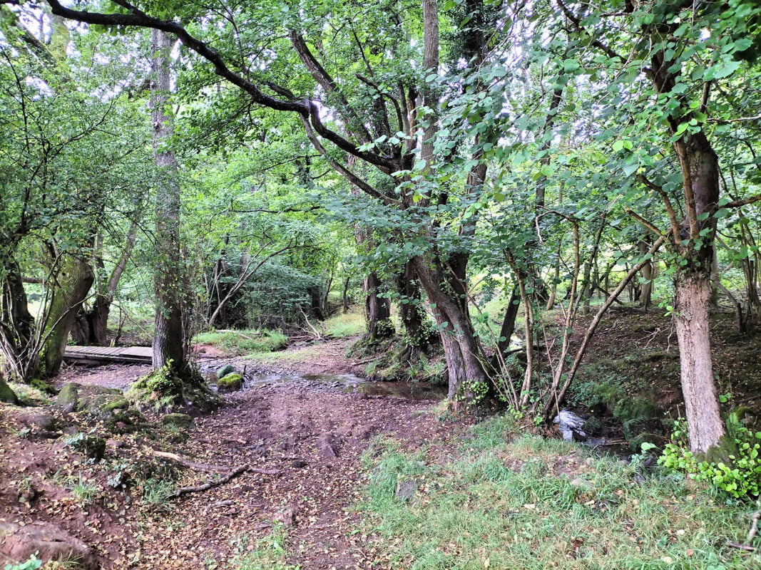 Wye Valley Farm Study