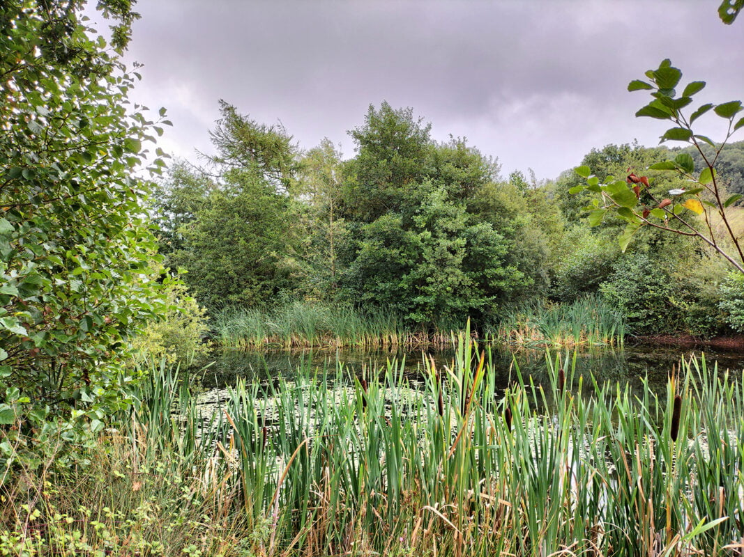 Wye Valley Farm Study