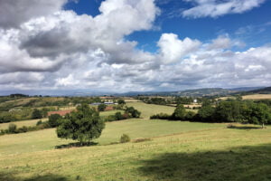 Wye Valley Farm Study