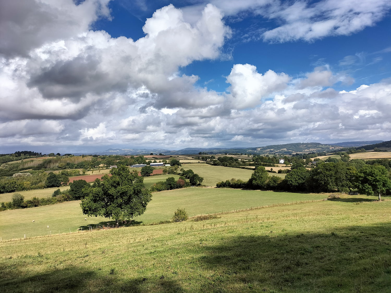 Wye Valley Farm Study