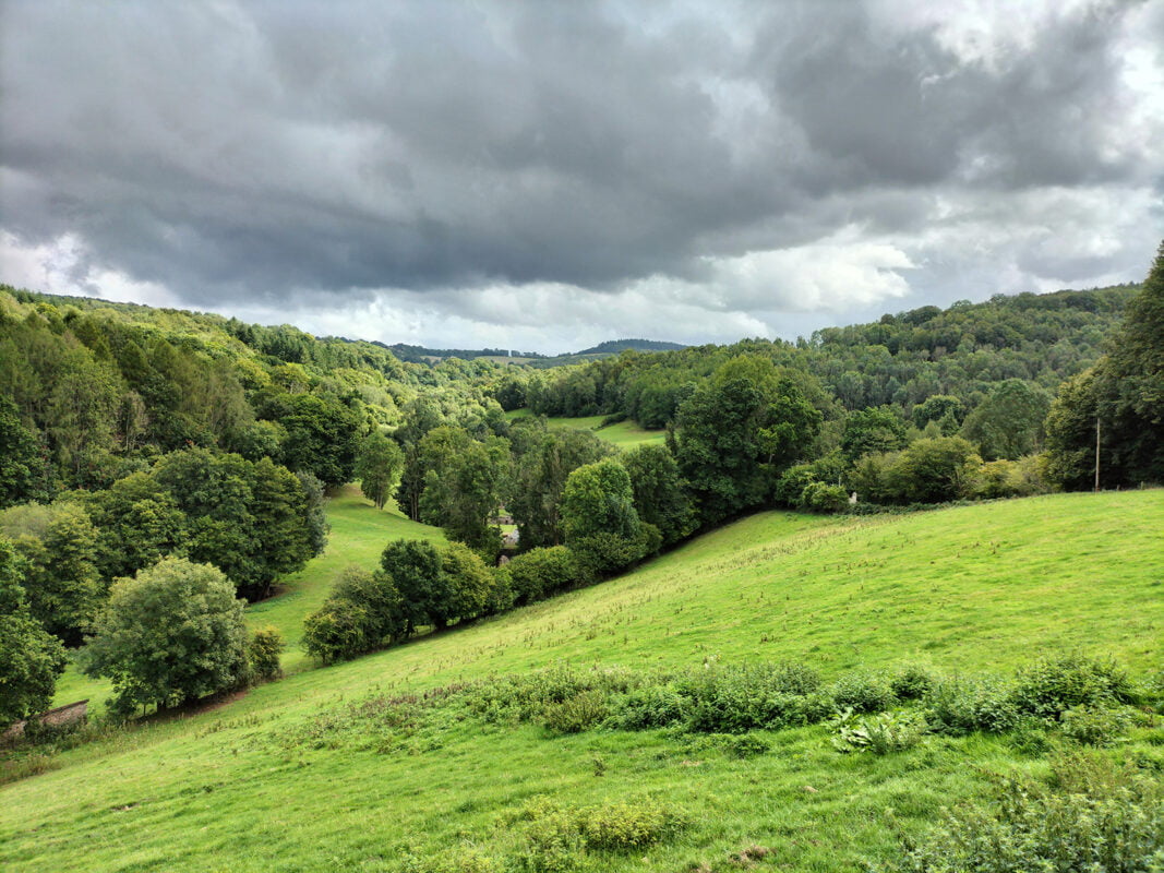 Wye Valley Farm Study