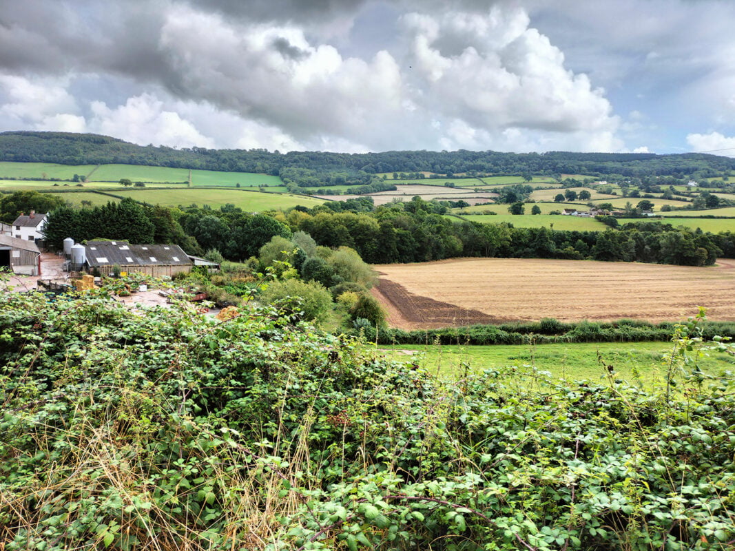 Wye Valley Farm Study