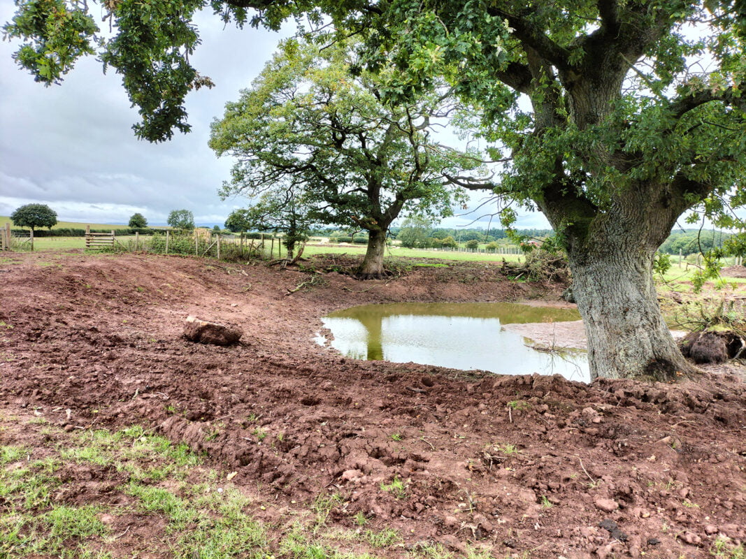 Wye Valley Farm Study