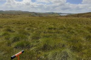 Hadrians Wall Peat Surveying