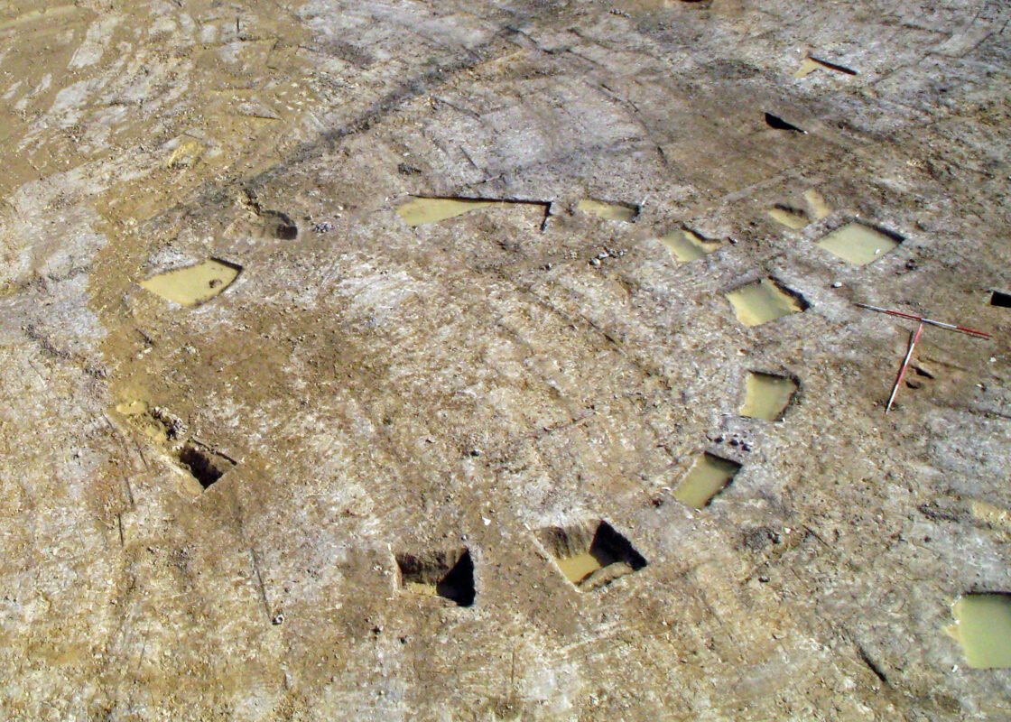 An Iron Age and Roman Settlement, Yorkshire TEP The Environment